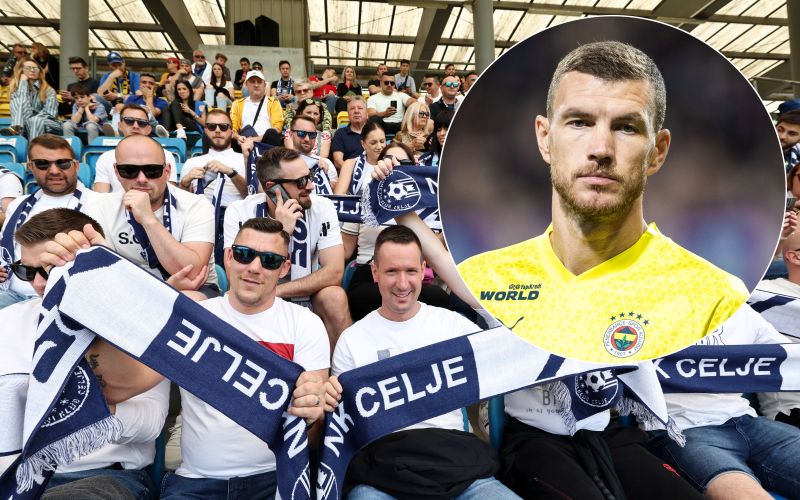 celje dzeko.jpg