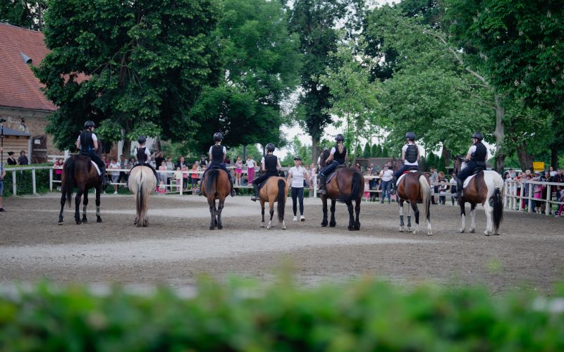 dvorec-rakičan, konjeniški-center, dan-odprtih-vrat, konji