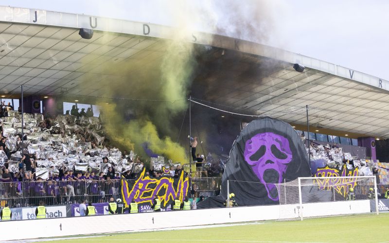 viole derbi.jpg