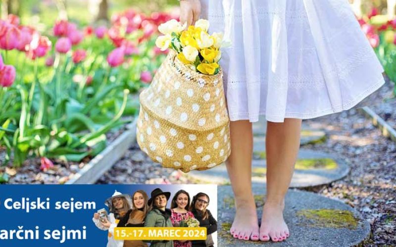 celjski-sejem