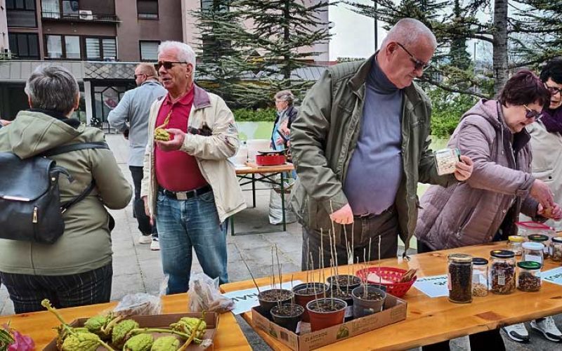 MČ-Levi-breg-semena