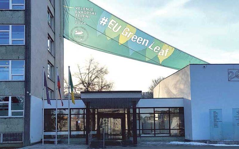 transparent-Zeleni-list