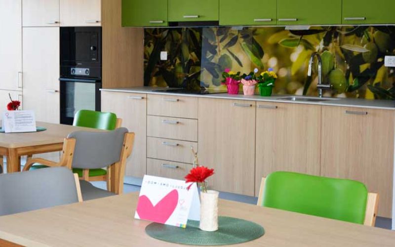 dom-za-varstvo-odraslih-4515