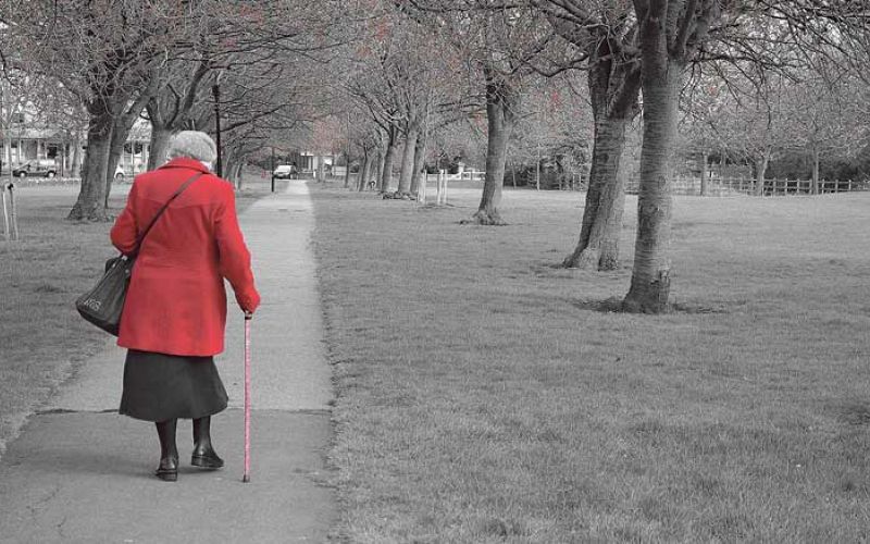 vdova-walking-69709_1920