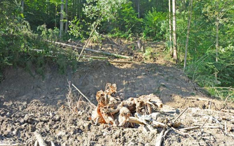 plaz-florjan-goličnik-2444