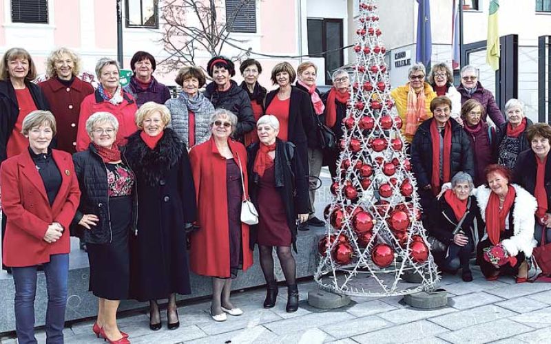 Šola-zdravja-skupina-Šalek-Velenje-Fotografija-Lado-Zgonec-(002)