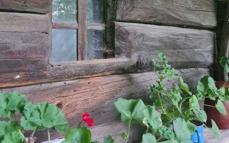 Predavanje-o-Kavčnikovi-domačiji_vabilo