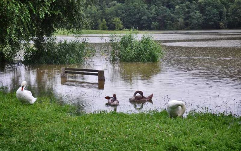 škalsko-jezero_9357