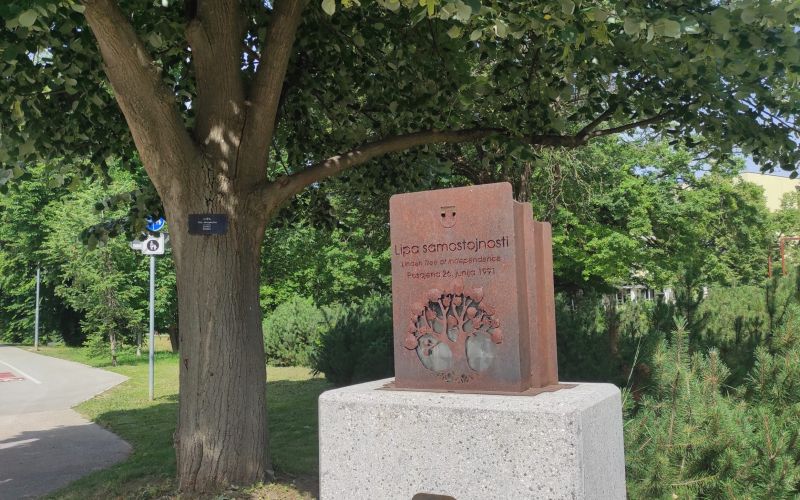 lipa samostonosti