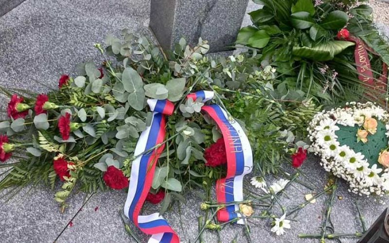 cvetje-kajuh-sostanj