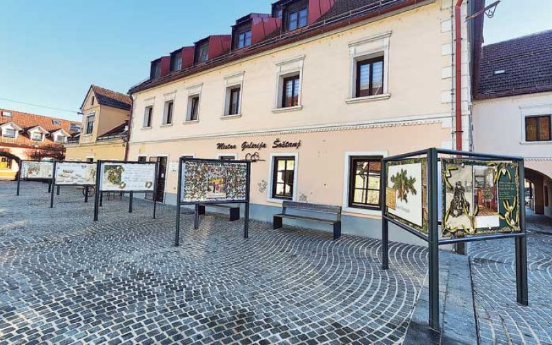 razstava-voščilnic-šoštanj-(3)