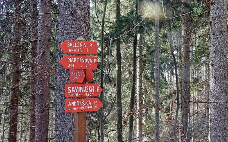 Šaleška-planinska-pot