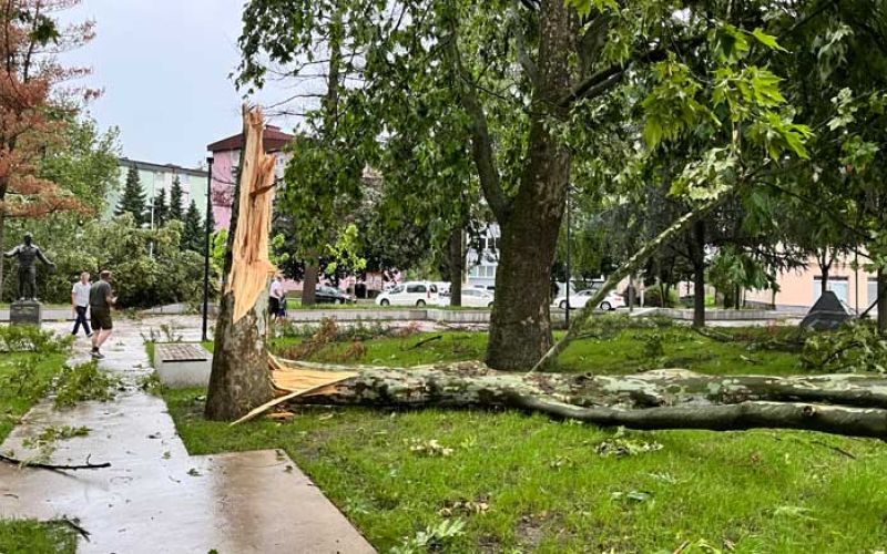 neurje-šoštanj_7949