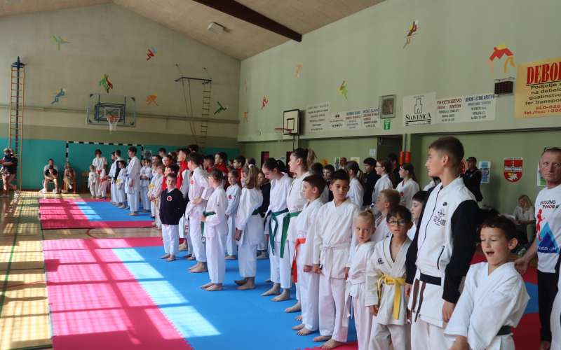 karate, klub, tekmovanje