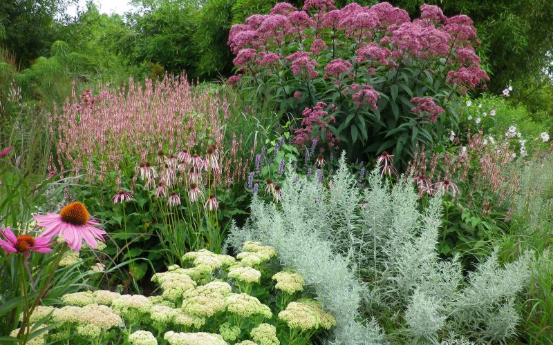 prijazno naslovna-jul24.JPG