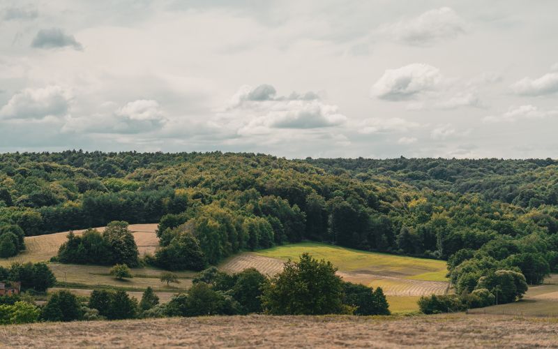 narava, simbolična, goričko, občina-šalovci, polje, njiva, molčanje, travnik, gozd