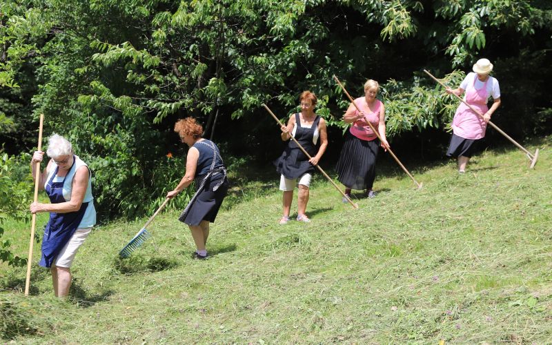 NČ Grabljice grabiel in obračale so seno     F JM  IMG_9367.JPG