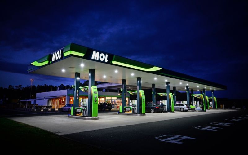 908422_mol-glavnafoto.jpg