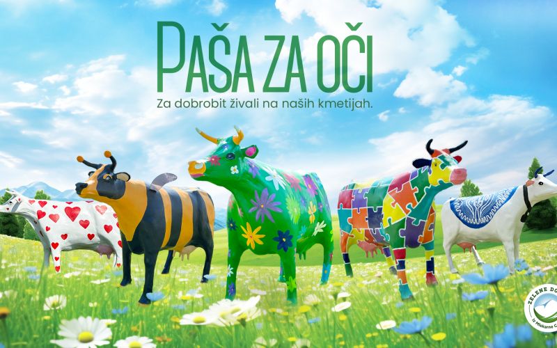 PASA-ZA-OCI_16x9 (2).jpg