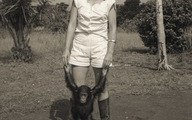 irena foit Slika 1.jpg