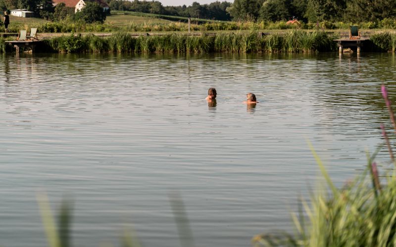 blaguško-jezero, kopanje, poletje, sup, jezero