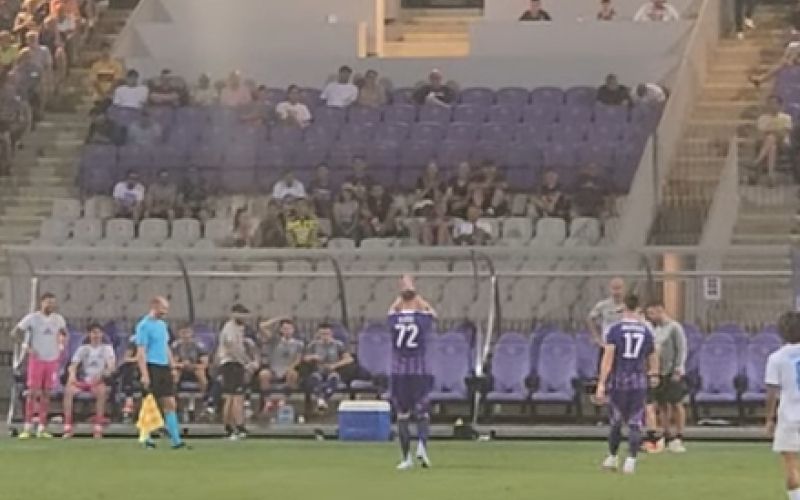 ilicic podgana.png