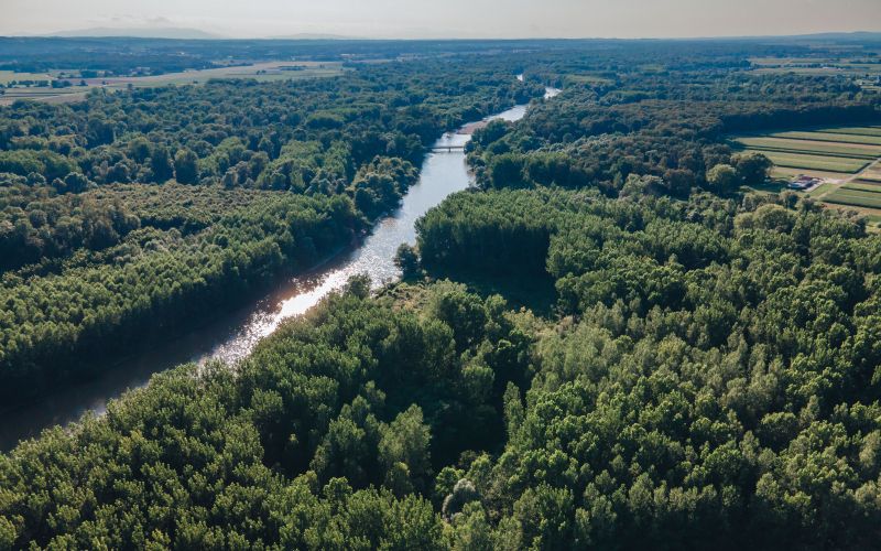 simbolična, mura, narava, dron, gozd, reka, vode