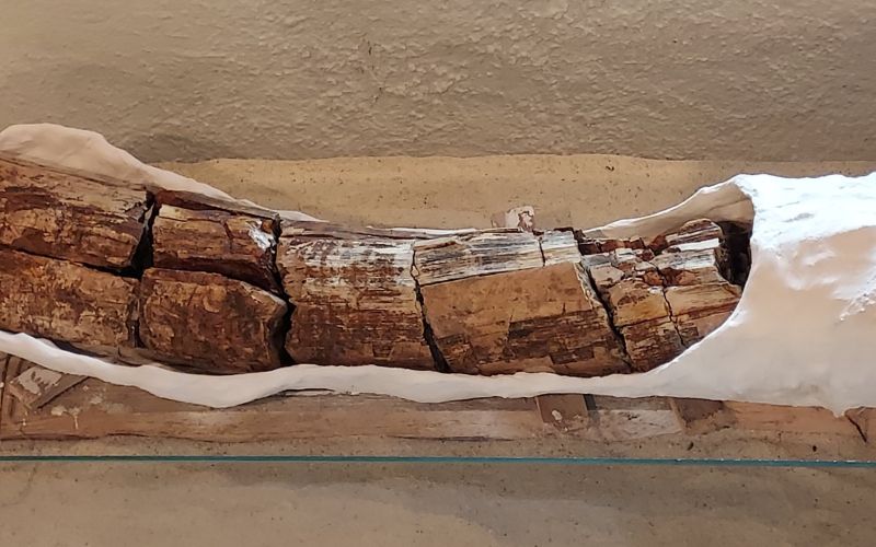 muzejski mozaik slika 2.jpg