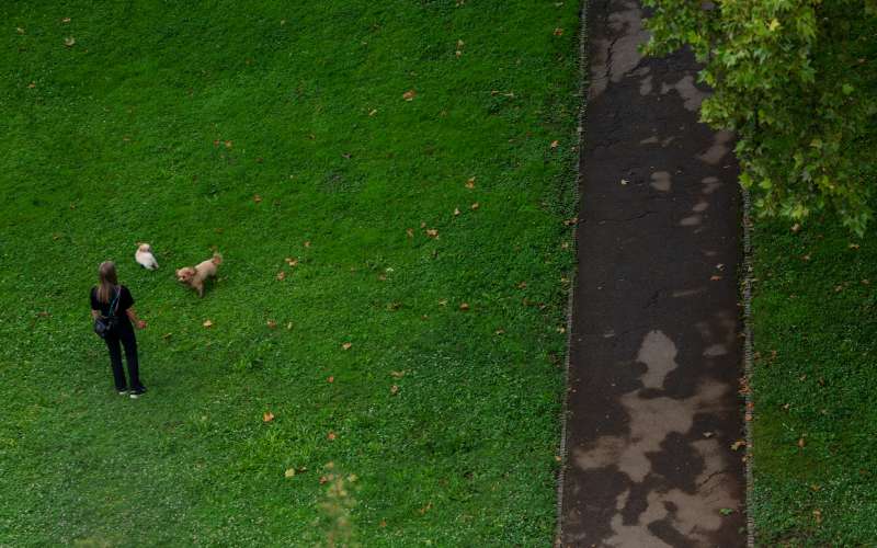 pes, park