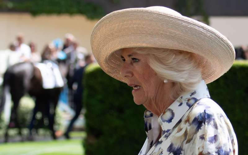 Kraljica Camilla