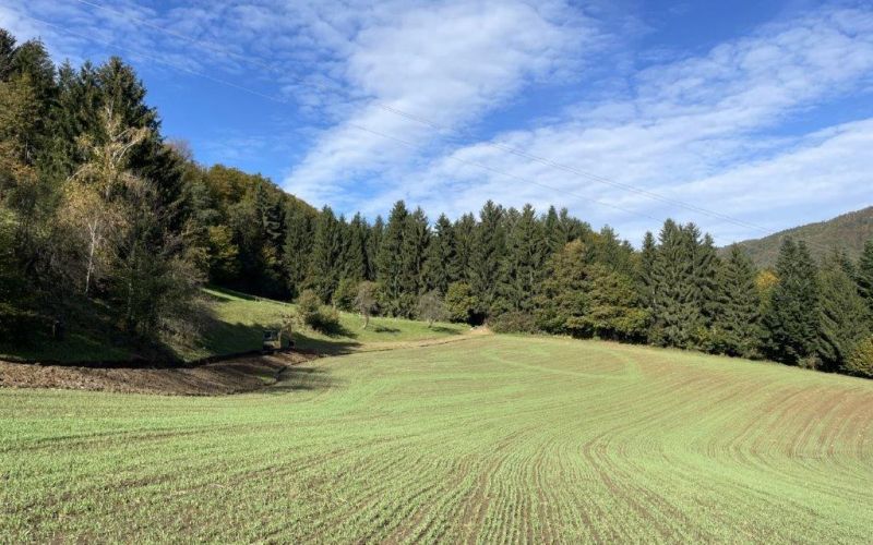 Petelinjek vodovod.jpg