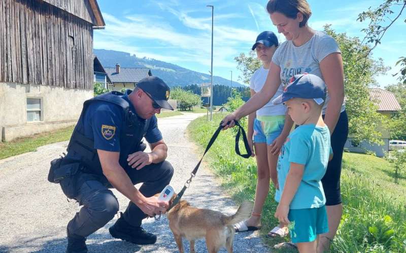 pes, policist