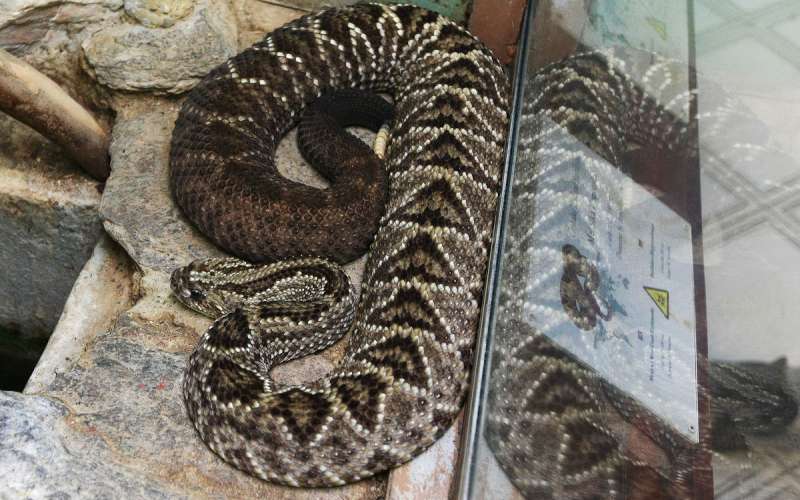akvarij-terarij-maribor