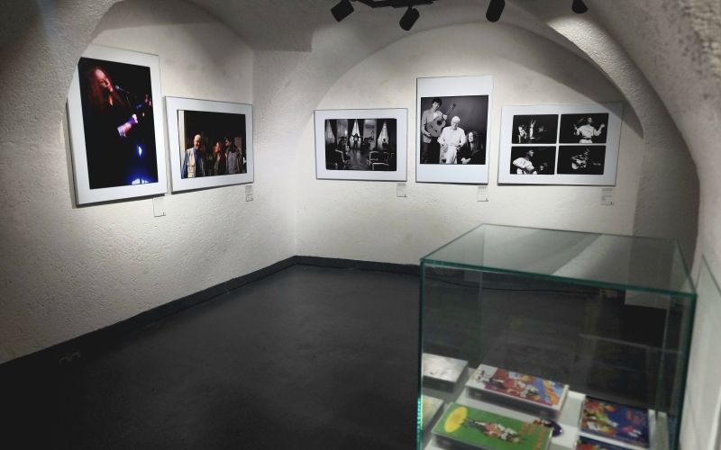 razstava Maček Muri, foto Tanja Verboten.jpg