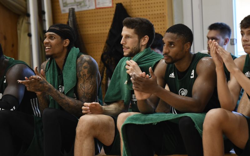 olimpija zlatorog.jpg