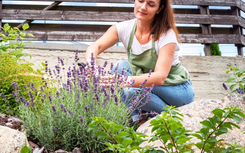 balkonsko-cvetje, ureditev-vrta