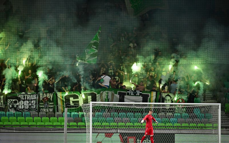 olimpija green dragons.jpg