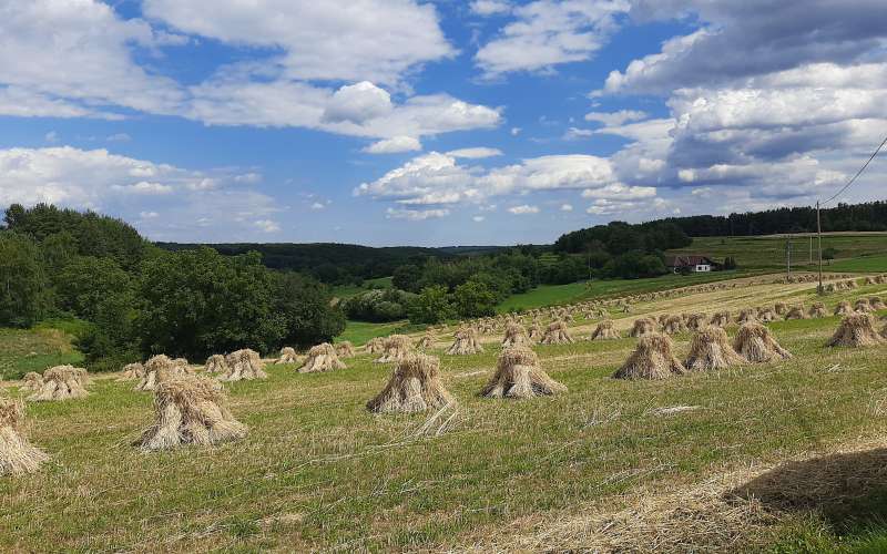 martinje, goričko, plastiči