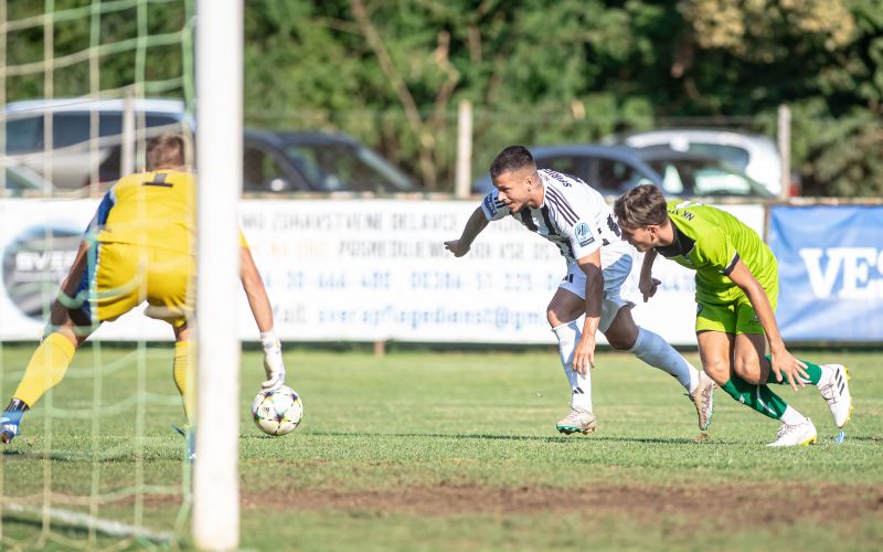 spiridonovic verzej lc