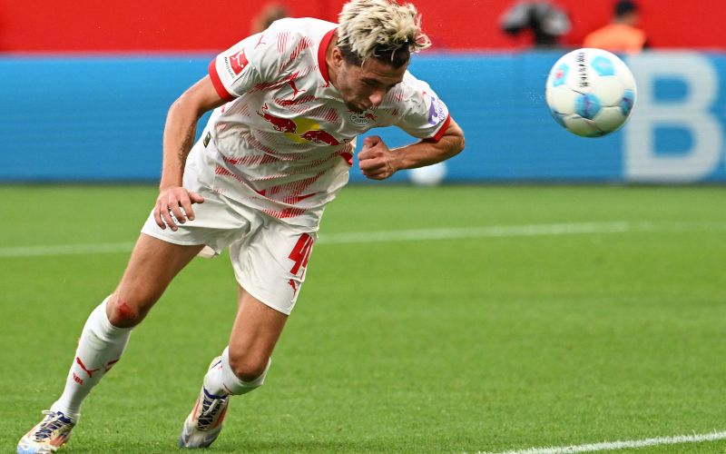 kampl.jpg