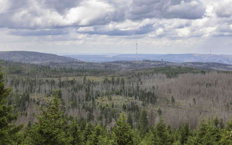 gorovje Harz.jpg