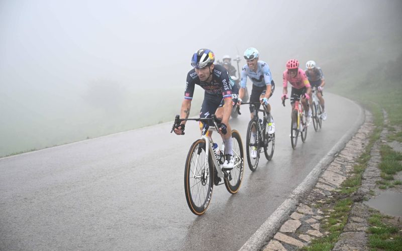 roglic.jpg
