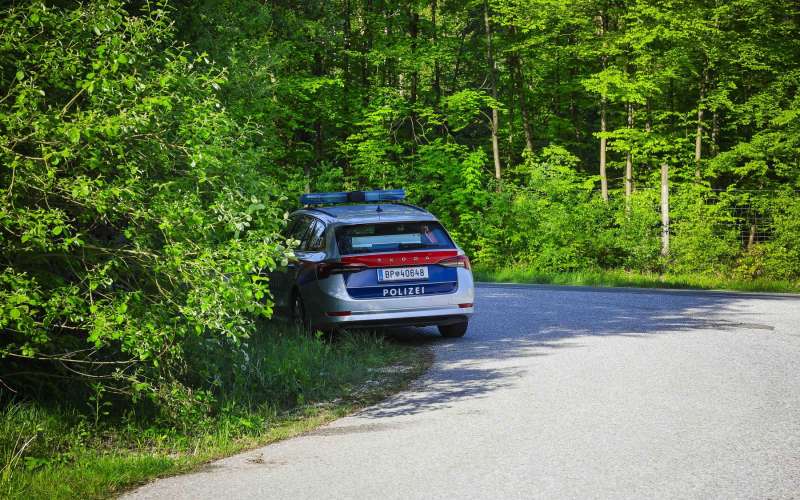 avstrijska policija