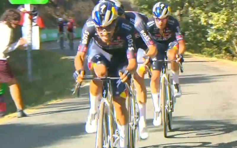 roglic 11.jpg