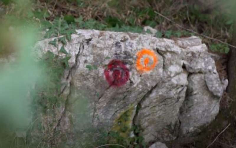 markacije, lažne-oznake