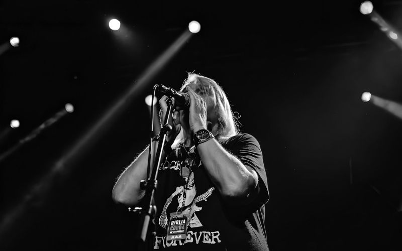 Bora Đorđević