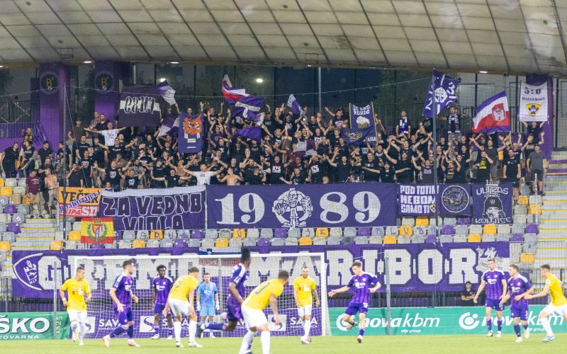 viole maribor 2024.jpg