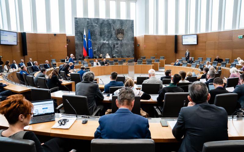 državni zbor, poslanci