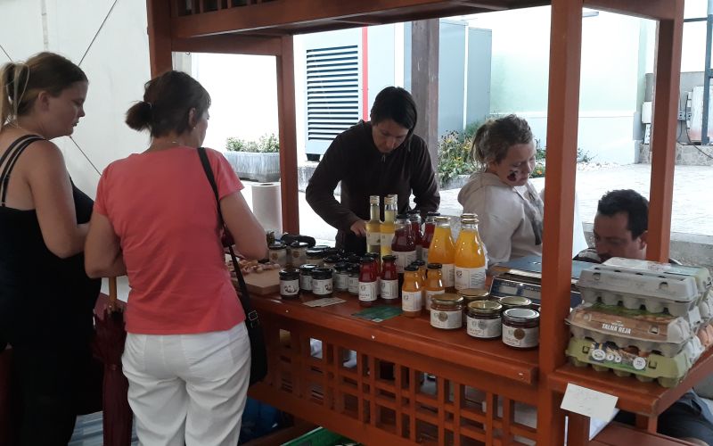 poznopoletni trznica.jpg