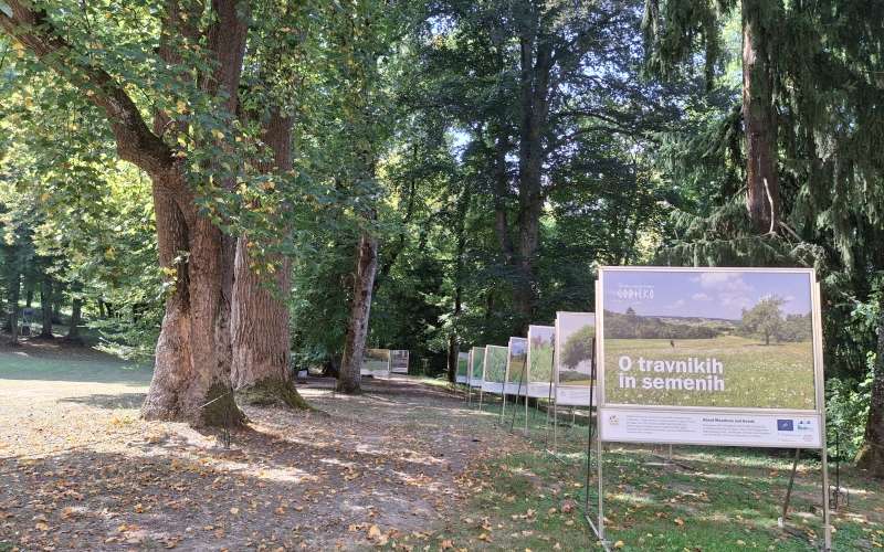 jz-kp-goričko, razstava, grad, o-travnikih-in-semenih